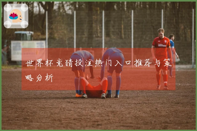 世界杯竞猜投注热门入口推荐与策略分析