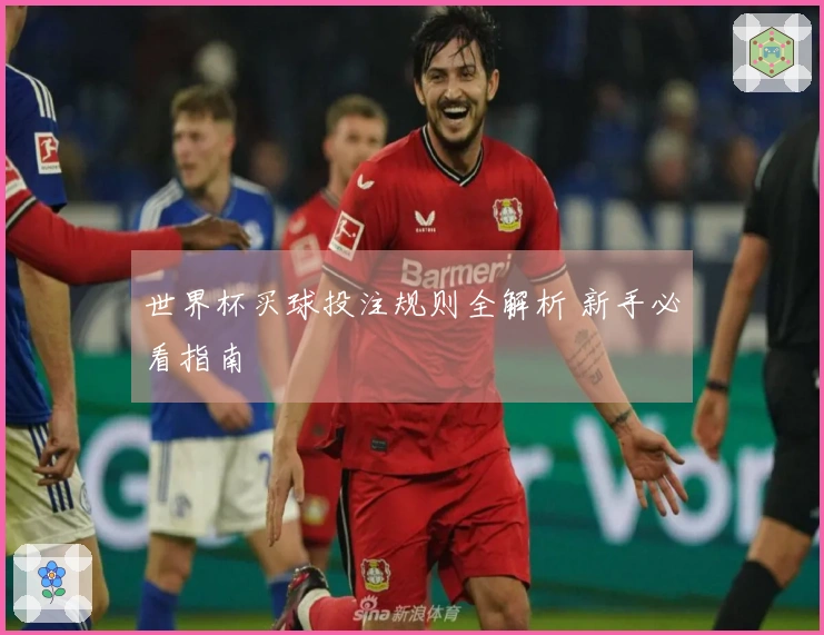 世界杯买球投注规则全解析 新手必看指南