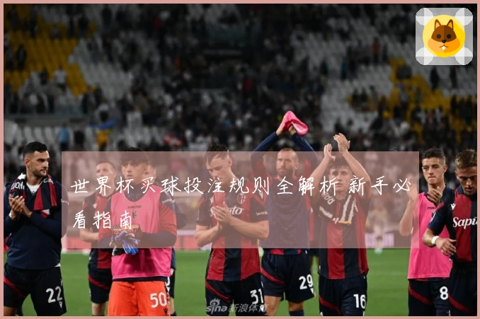 世界杯买球投注规则全解析 新手必看指南