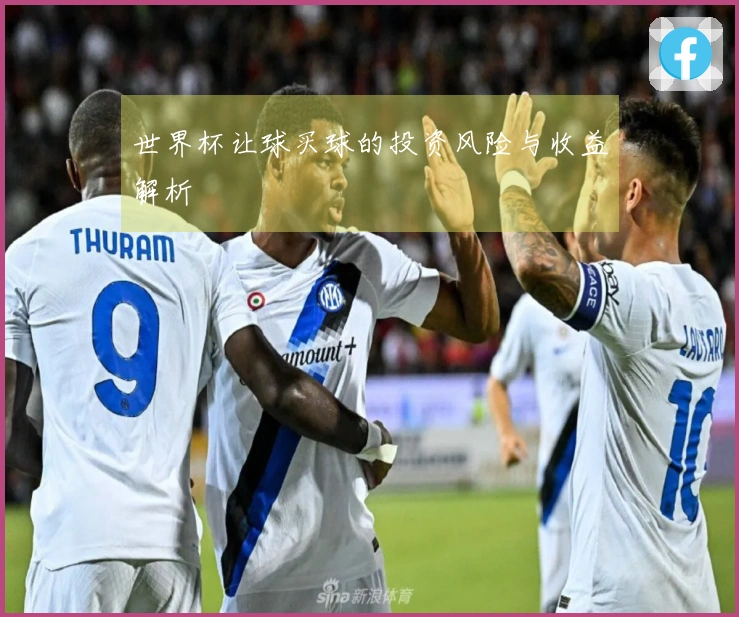 世界杯让球买球的投资风险与收益解析