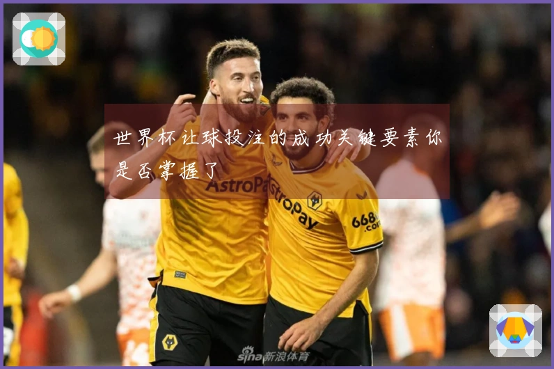 世界杯让球投注的成功关键要素你是否掌握了