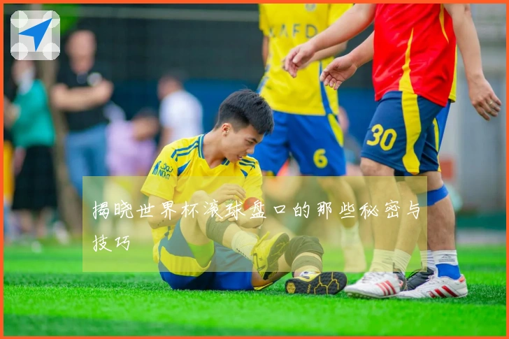 揭晓世界杯滚球盘口的那些秘密与技巧