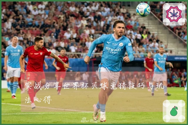 实战分享世界杯买球竞猜技巧与玩法心得