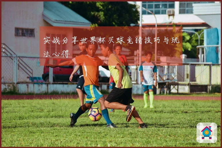 实战分享世界杯买球竞猜技巧与玩法心得