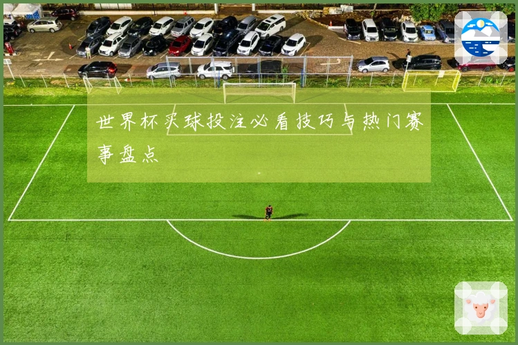 世界杯买球投注必看技巧与热门赛事盘点
