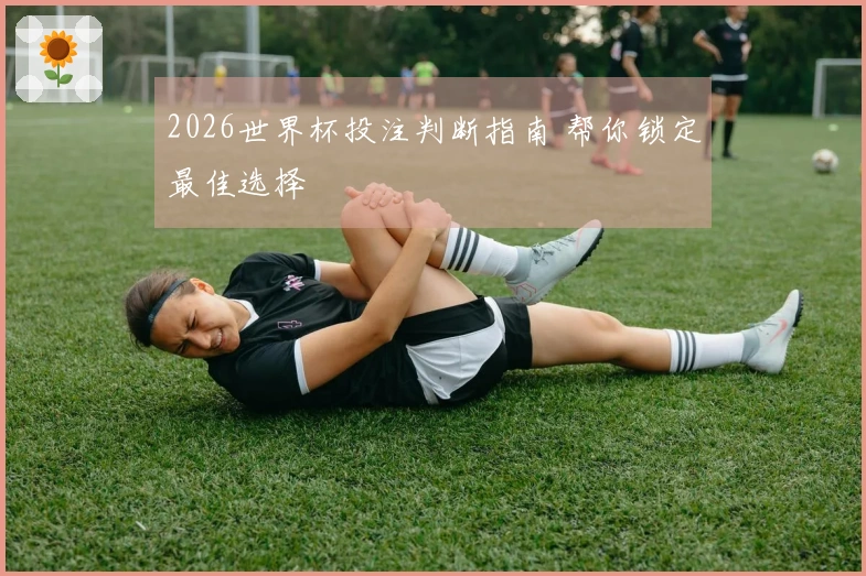2026世界杯投注判断指南 帮你锁定最佳选择