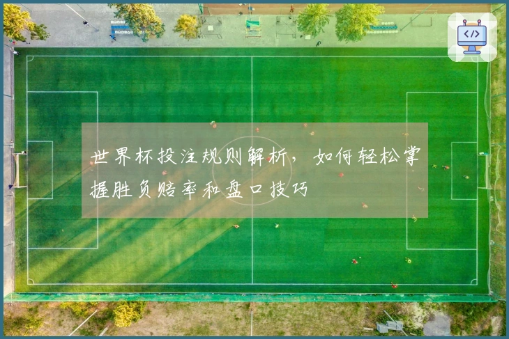 世界杯投注规则解析，如何轻松掌握胜负赔率和盘口技巧