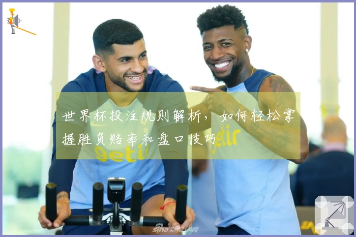 世界杯投注规则解析，如何轻松掌握胜负赔率和盘口技巧